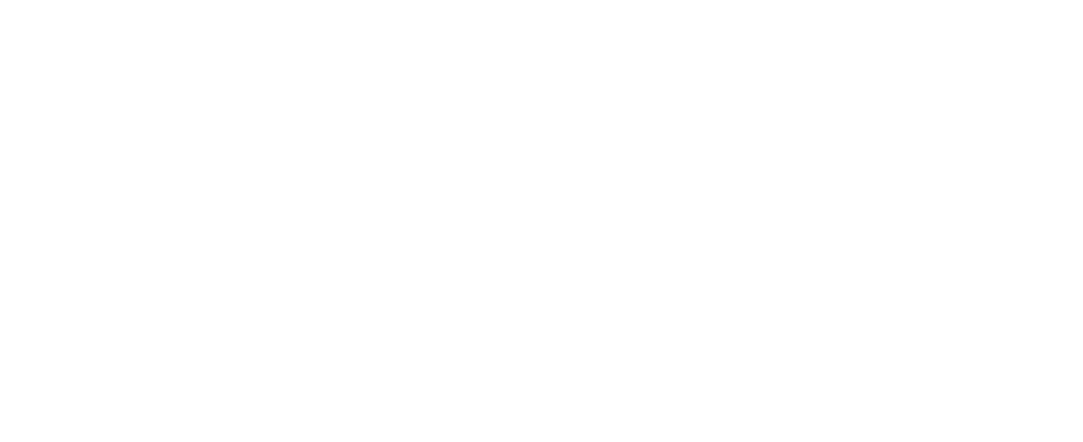 Martin Molnár logo